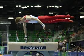 Pommel Horse